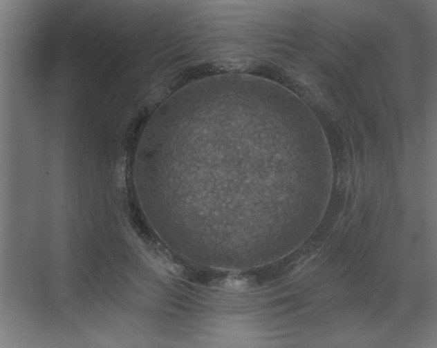 X0000072970647200607211224