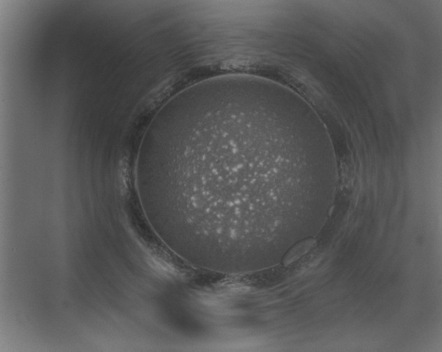 X0000072970648200607211224