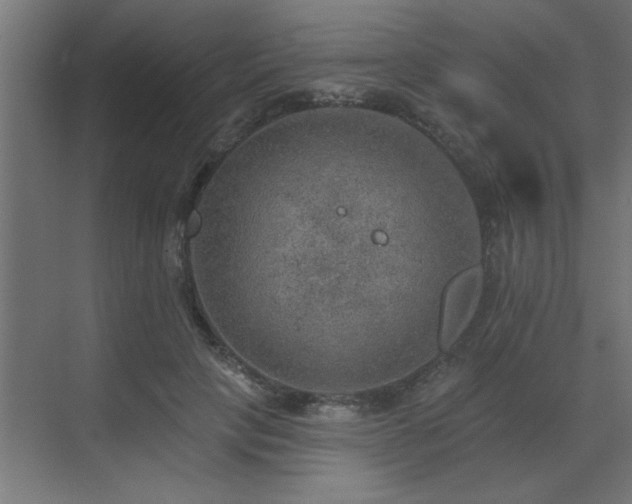 X0000072970649200607211224