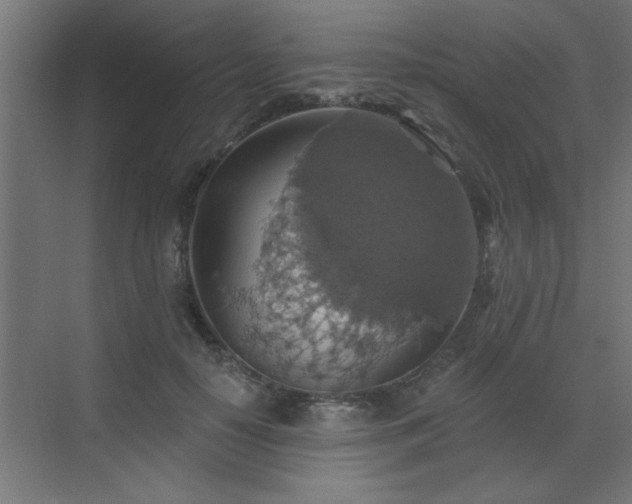 X0000072970650200607211224