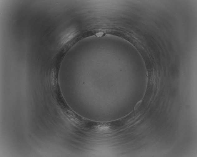 X0000072970651200607211224