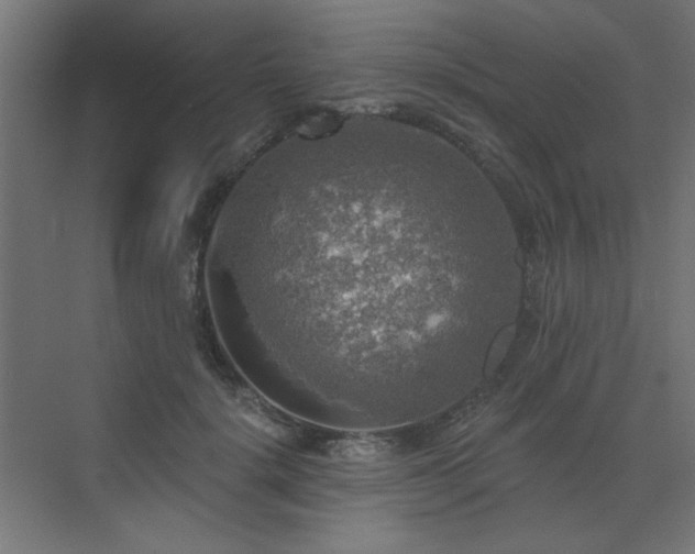 X0000072970652200607211224