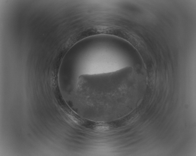 X0000072970653200607211224