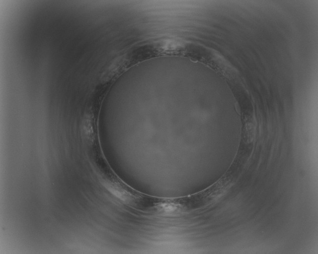 X0000072970654200607211224