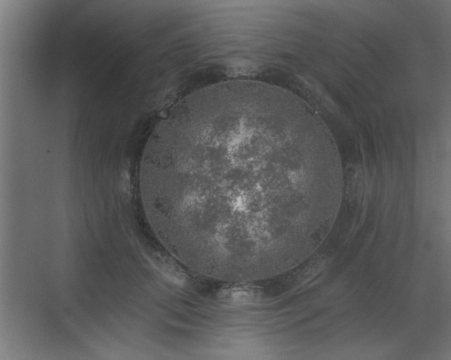 X0000072970655200607211224