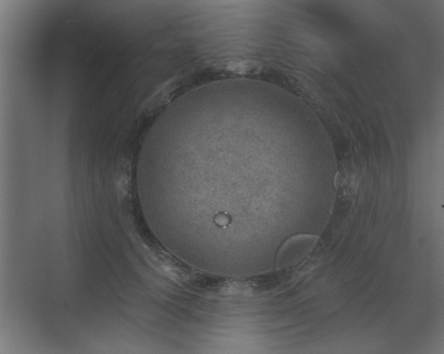 X0000072970656200607211224