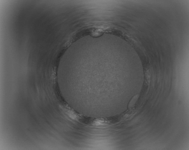 X0000072970657200607211224