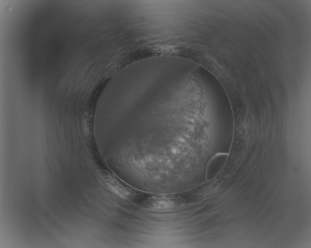 X0000072970658200607211224