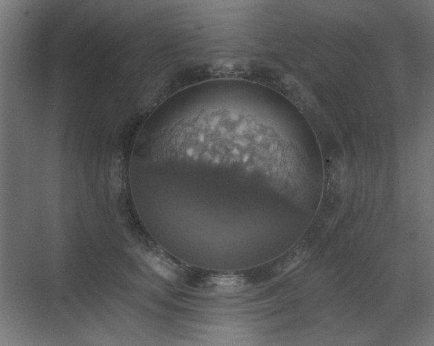 X0000072970659200607211224