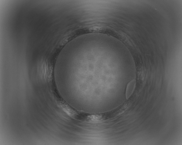 X0000072970660200607211224