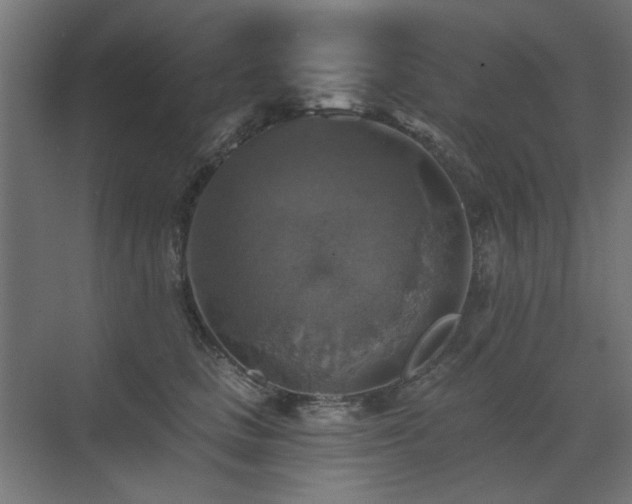 X0000072970661200607211224