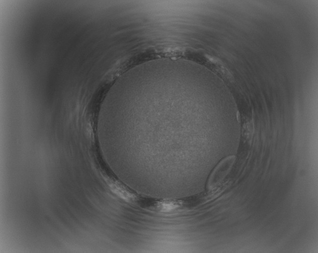 X0000072970662200607211225