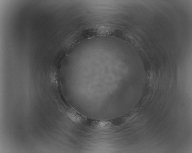 X0000072970663200607211225