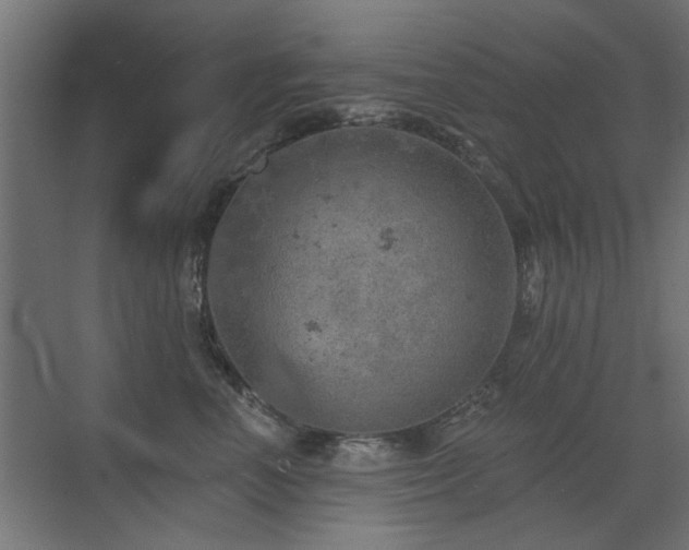 X0000072970666200607211225