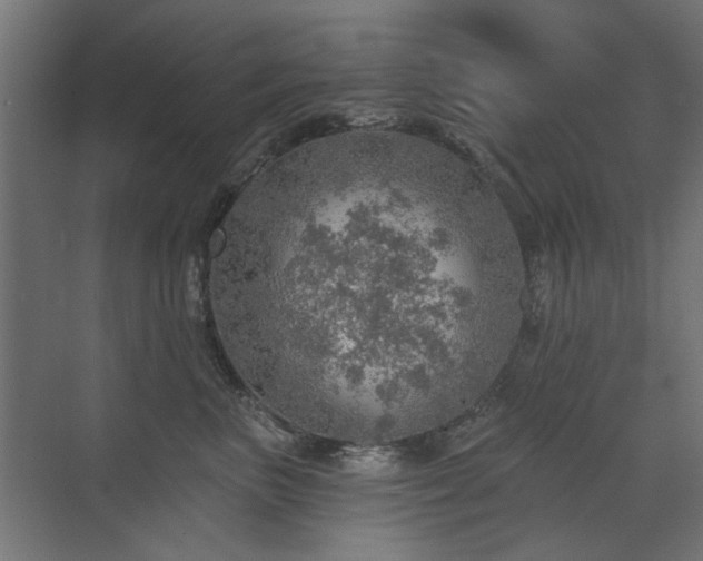 X0000072970667200607211225