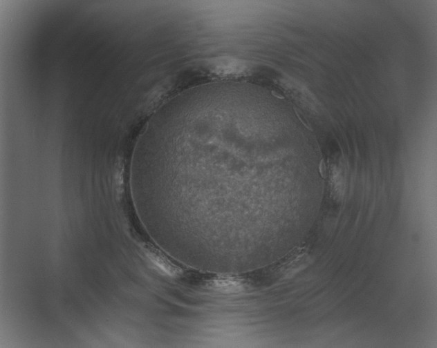 X0000072970668200607211225