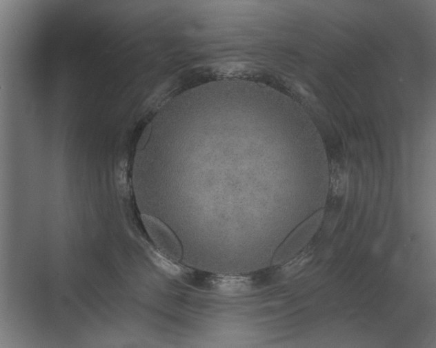 X0000072970670200607211225