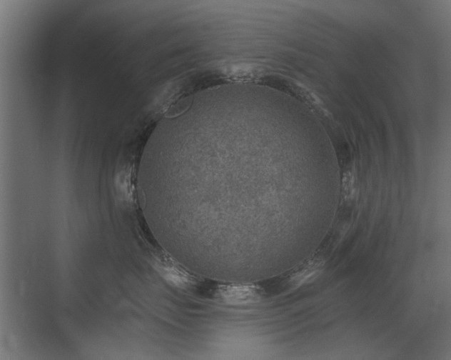 X0000072970671200607211225