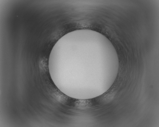 X0000072970672200607211225