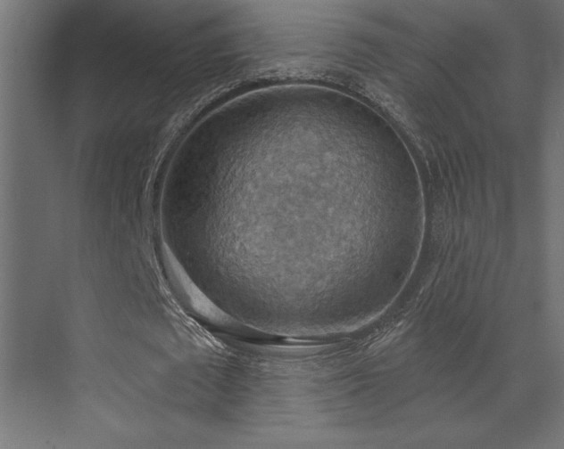 X0000072970673200607211224