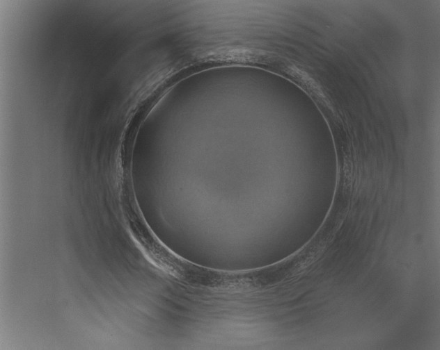 X0000072970674200607211224