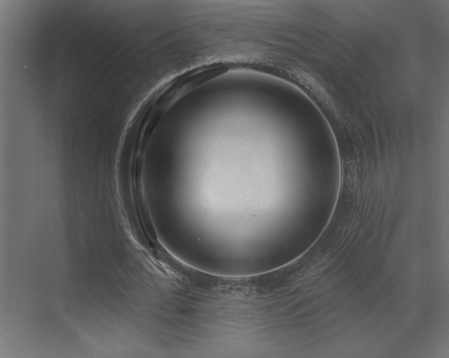 X0000072970676200607211224