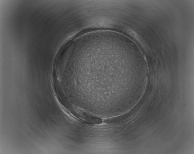 X0000072970677200607211224