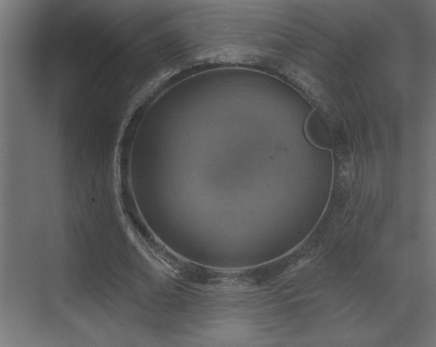 X0000072970678200607211224