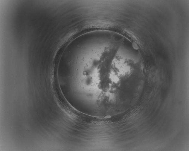 X0000072970679200607211224