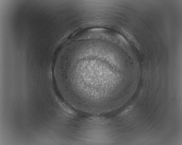 X0000072970681200607211224