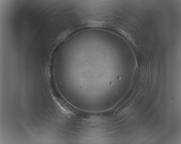 X0000072970682200607211224