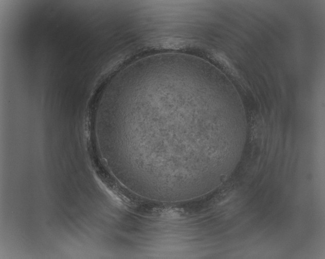 X0000072970683200607211224