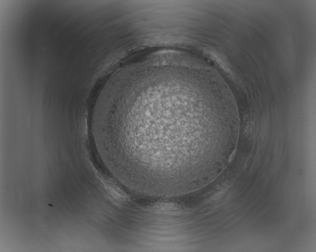 X0000072970685200607211224