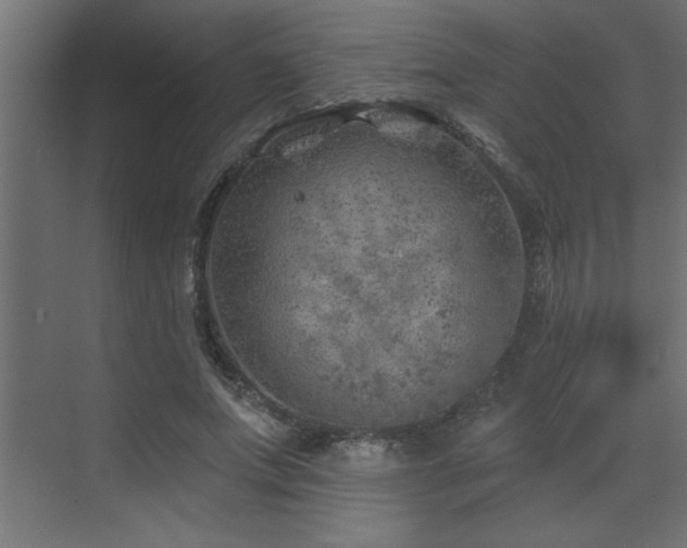 X0000072970687200607211224