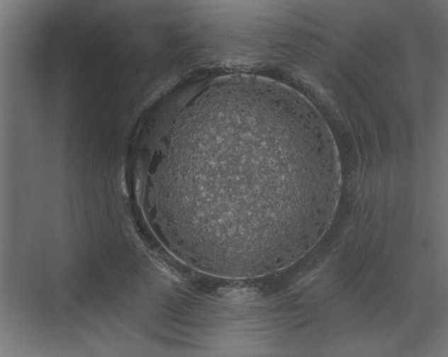 X0000072970689200607211224