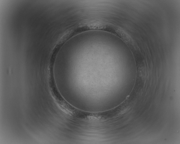 X0000072970690200607211224