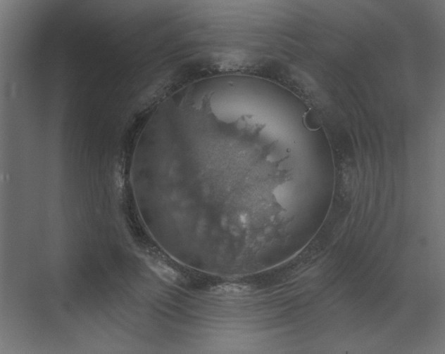 X0000072970691200607211224