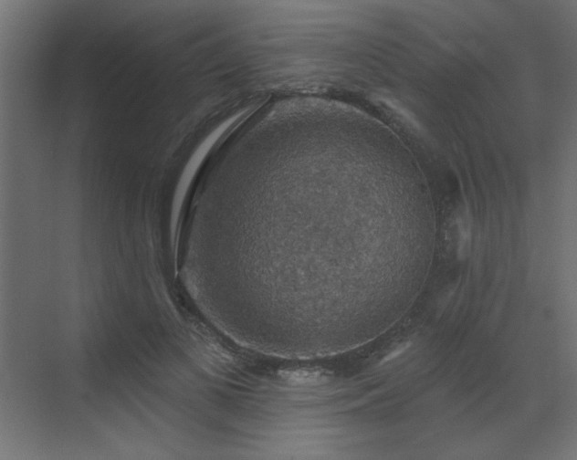 X0000072970693200607211224