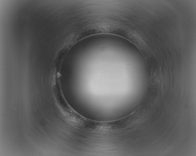 X0000072970694200607211224