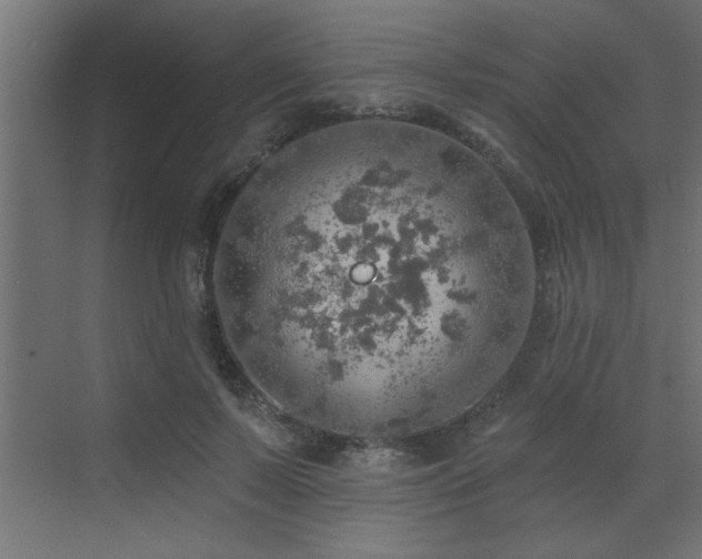 X0000072970695200607211223