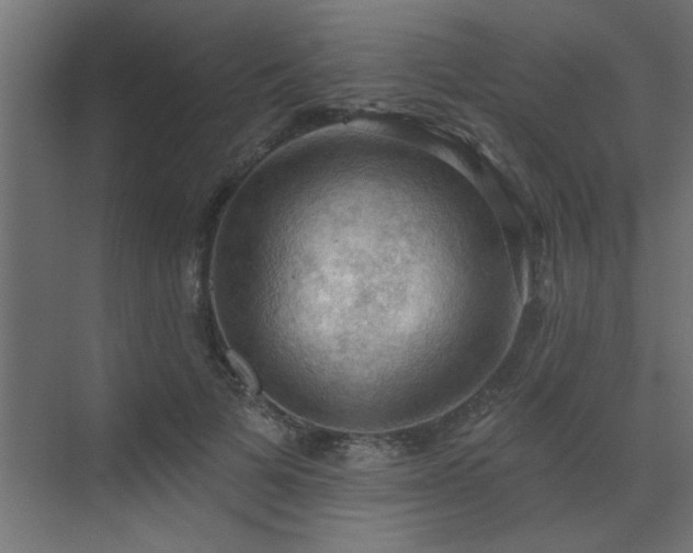 X0000072970697200607211223