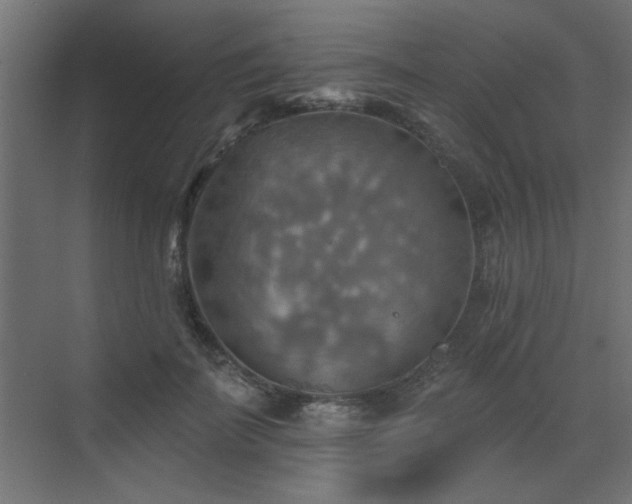 X0000072970699200607211223