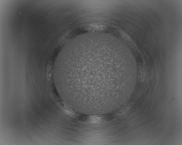 X0000072970701200607211223