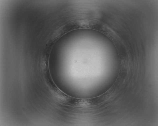 X0000072970702200607211223