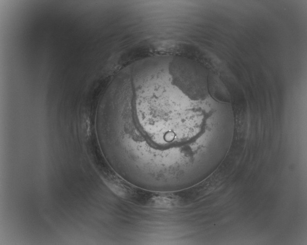 X0000072970703200607211223