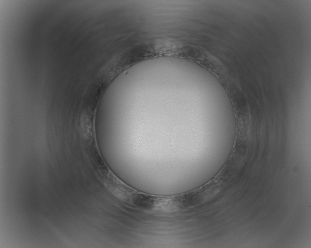 X0000072970705200607211223