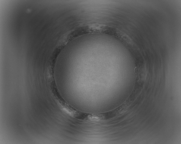 X0000072970706200607211223