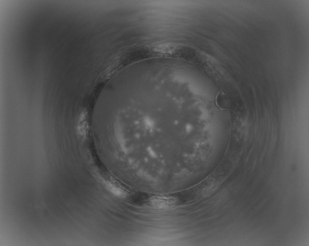 X0000072970707200607211223