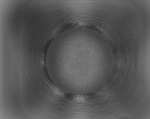 X0000072970710200607211223