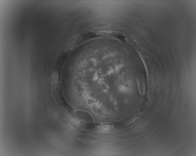 X0000072970711200607211223